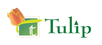 Tulip Infratech